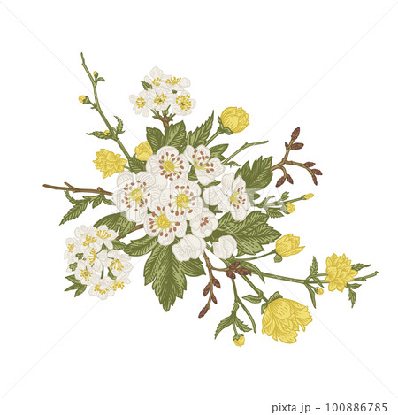 Spring bouquet with blossoming branches, isolated on a transparent background. Vintage style. Kerria Japanese, cherry, hawthorn. Can be used for design of invitations, cards, labels, stickers. 100886785