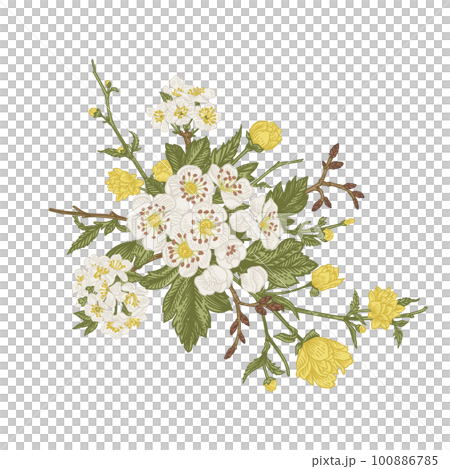 Spring bouquet with blossoming branches, isolated on a transparent background. Vintage style. Kerria Japanese, cherry, hawthorn. Can be used for design of invitations, cards, labels, stickers. 100886785