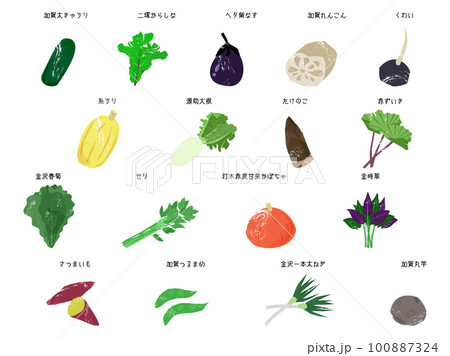 いろいろな加賀野菜 いろいろな加賀野菜 100887324