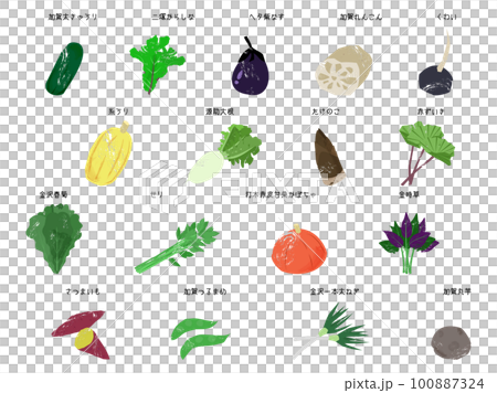 各種加賀蔬菜 各種加賀蔬菜 100887324