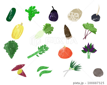いろいろな加賀野菜加賀野菜 100887325