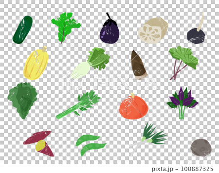 いろいろな加賀野菜加賀野菜 100887325