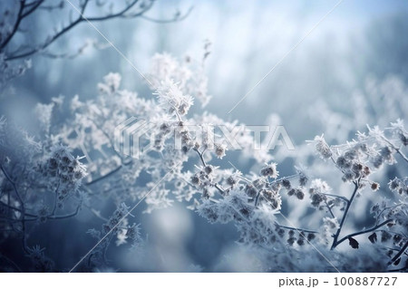 雪が積もった神秘的な森の背景 雪が積もった神秘的な森の背景 100887727