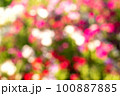Summer blurred natural floral background. Defocused bright colorful flowers. Abstract colorful bokeh 100887885