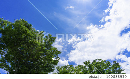 爽やかな新緑と青空の風景 100888930