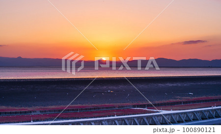展望デッキから観える美しい夕焼けとシチメンソウ風景　「東よか干潟ビジターセンターひがさす(佐賀市)」 100890121