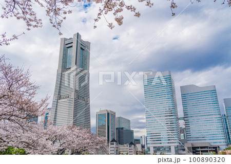 横浜みなとみらい「YOKOHAMA AIR CABIN」桜の季節 横浜みなとみらい「YOKOHAMA AIR CABIN」桜の季節 100890320