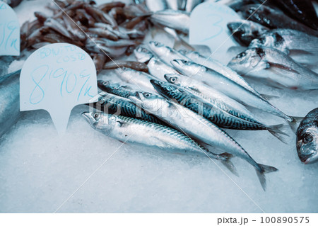 Fresh fishes in a market. Shopping in an Spain Seafood Store 100890575