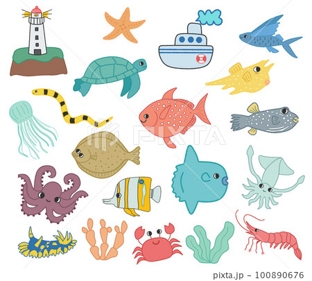 海の生き物のイラストセット 海の生き物のイラストセット 100890676