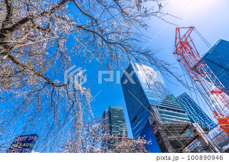 日本の東京都市景観 渋谷・青空に映えるハチ公前のしだれ桜やビル群、駅解体工事などを望む=3月20日 日本の東京都市景観 渋谷・青空に映えるハチ公前のしだれ桜やビル群、駅解体工事などを望む=3月20日 100890946
