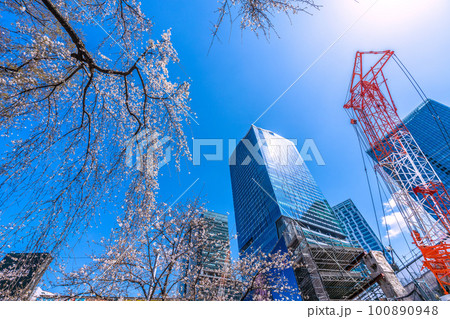 日本の東京都市景観 渋谷・青空に映えるハチ公前のしだれ桜やビル群、駅解体工事などを望む=3月20日 日本の東京都市景観 渋谷・青空に映えるハチ公前のしだれ桜やビル群、駅解体工事などを望む=3月20日 100890948
