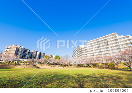 郊外の住宅地 大型マンションと桜景 郊外の住宅地 大型マンションと桜景 100892002