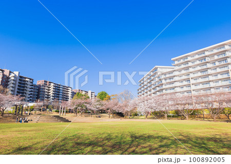 郊外の住宅地 大型マンションと桜景 郊外の住宅地 大型マンションと桜景 100892005