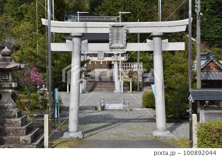 春の朝の宇波西神社　福井 100892044
