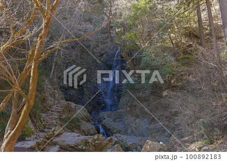 払沢の滝 | 東京都西多摩郡檜原村【2月】 100892183