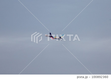 大空を飛ぶ飛行機 100892360
