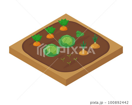 野菜を育てる畑のイラスト_アイソメトリック 100892442