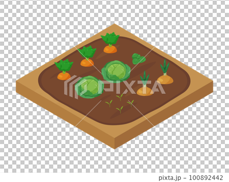 野菜を育てる畑のイラスト_アイソメトリック 100892442