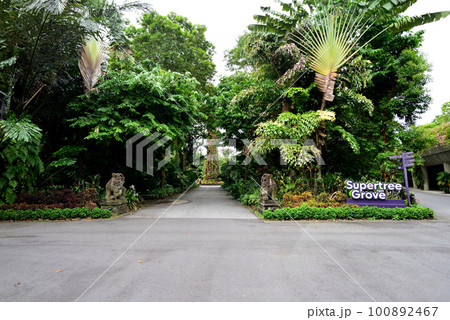 ガーデンズバイザベイ スーパーツリーグローブの入り口 ガーデンズバイザベイ スーパーツリーグローブの入り口 100892467