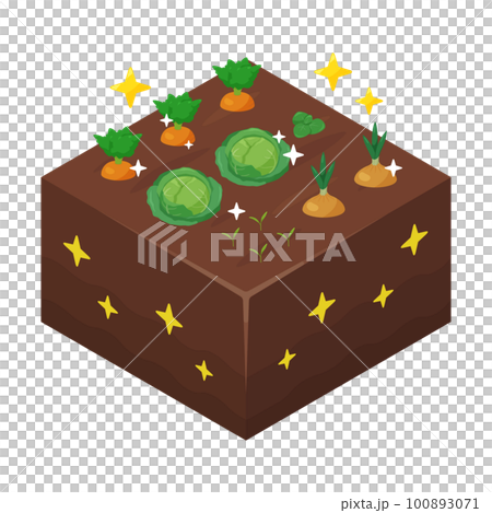 Illustration of healthy vegetables __Isometric Illustration of healthy vegetables __Isometric 100893071