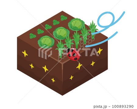 緑肥のイラスト_混植_アイソメトリック 100893290