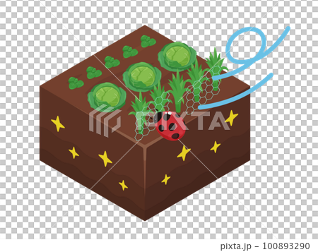 緑肥のイラスト_混植_アイソメトリック 100893290