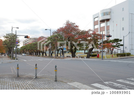 役所前の交差点（十和田市役所　青森県 十和田市） 100893901