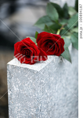 Red roses on light grey tombstone outdoors. Funeral ceremony Red roses on light grey tombstone outdoors. Funeral ceremony 100894187