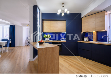 Stylish studio studio apartment with kitchen open to living room 100895509