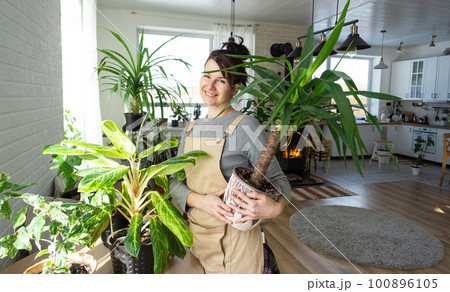 A happy woman in a green house with a potted plant in her hands smiles, takes care of a flower. The interior of a cozy eco-friendly house, a fireplace stove, a hobby for growing and breeding homeplant 100896105