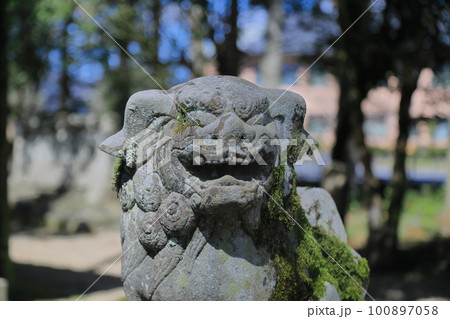 諸杉神社の狛犬 100897058