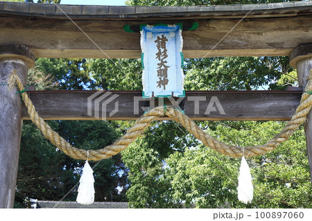 諸杉神社の鳥居としめ縄 100897060