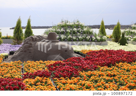 春のビーチ/宮崎県 100897172