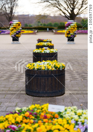 春の公園にある花壇 100897769