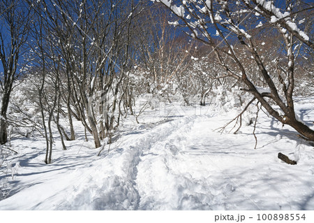栃木県那須岳 残雪期の登山道の風景 100898554