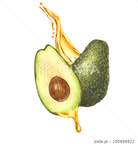 Watercolor two ripe avocado oil dripping from avocado fruit and splush. Hand-drawn illustration isolated on white background. Perfect concept food menu, food drawing, design packing, healthy eating 100898822