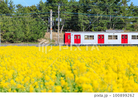 菜の花畑と筑肥線　福ふくの里　福岡県糸島市 100899262