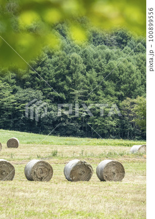 草ロールがある風景（蒜山高原） 100899556