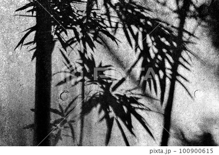 壁に竹の影がうつっている風景が水墨画の様に見えるの写真素材