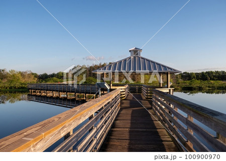 Elevated boardwalk at Green Cay Nature Center Wetlands in Boynton Beach. 100900970