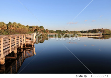 Elevated boardwalk at Green Cay Nature Center Wetlands in Boynton Beach. Elevated boardwalk at Green Cay Nature Center Wetlands in Boynton Beach. 100900973