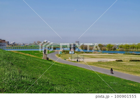 葛飾柴又 江戸川の土手と河川敷 葛飾柴又 江戸川の土手と河川敷 100901555