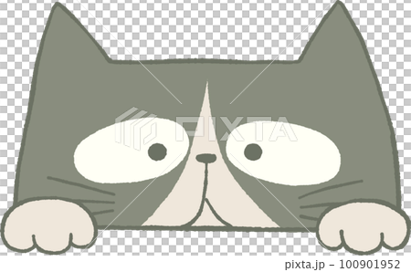 Illustration of a cute cat peeking Illustration of a cute cat peeking 100901952