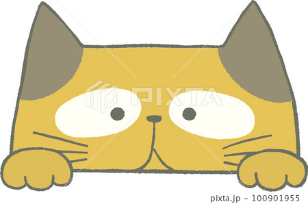 のぞくかわいいねこのイラスト 100901955