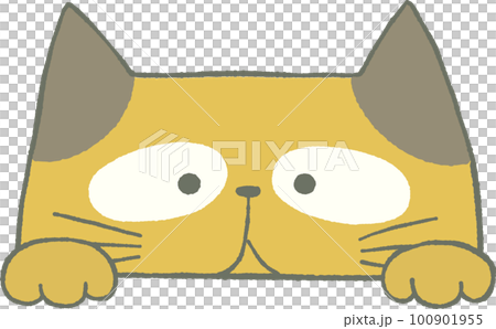 のぞくかわいいねこのイラスト 100901955