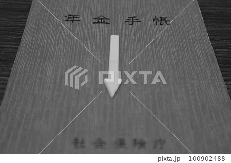 年金支給額の減少をイメージ 100902488
