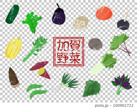 いろいろな加賀野菜 100902722