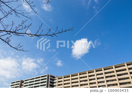 青空とマンションのある都市風景 青空とマンションのある都市風景 100903435