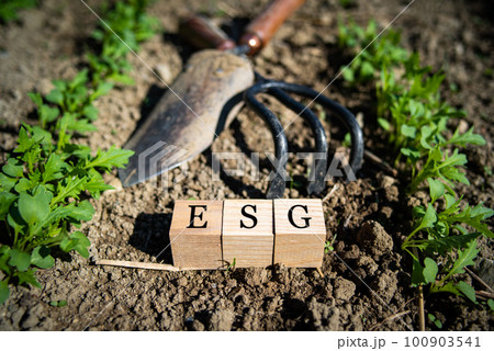ESGのイメージ 100903541