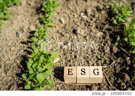 ESGのイメージ ESGのイメージ 100903542